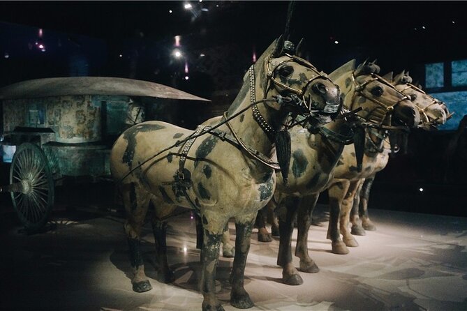 Private Historical and Culture Tour in Xian - Good To Know