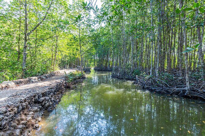 Private Ho Chi Minh City Highlights and Nature Escape Tour - Exploring the Itinerary in Detail