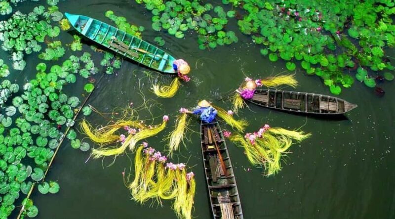 [Private] Ho Chi Minh City & Mekong Delta: 5-Day Guided Tour - Good To Know  