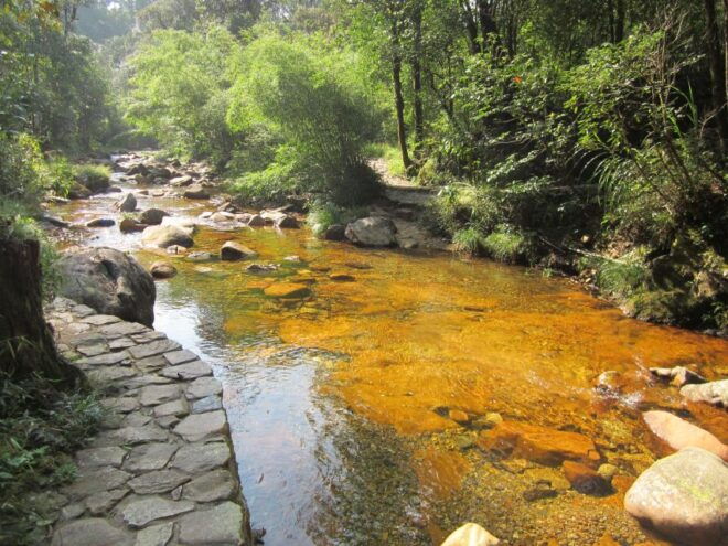 Private Hoang Lien National Park & Tribal Village Trek - Tour Itinerary