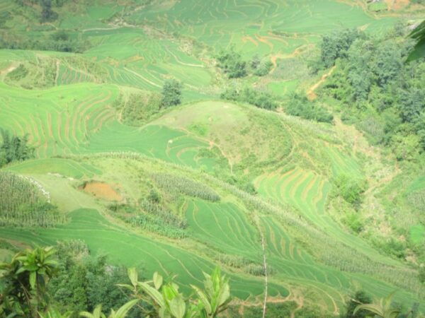 Private Hoang Lien National Park & Tribal Village Trek - The Sum Up