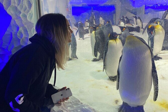 Private Hobbiton movie set & Blue springs from Auckland - The Sum Up