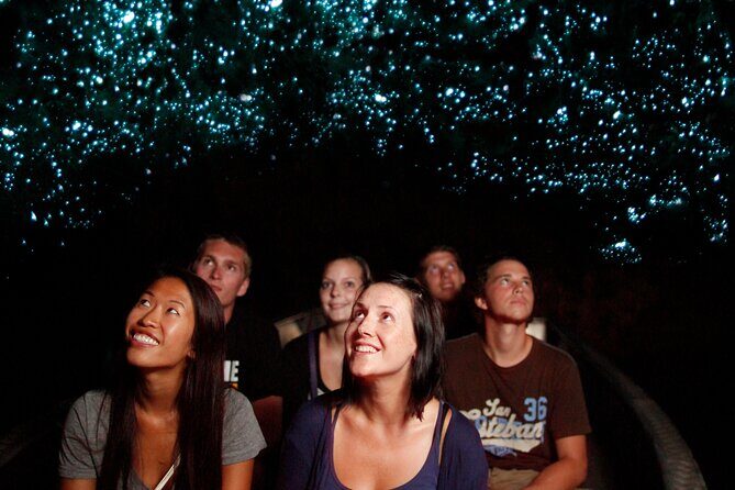 Private Hobbiton Movie Set & Waitomo Caves in a Day from Auckland - What Makes This Tour Stand Out?