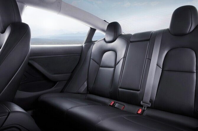 Private Hobbiton & Waitomo Caves Transfer from Auckland - Value & Cost Analysis