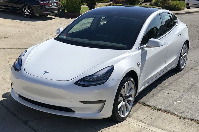 Private Hobbiton & Waitomo Caves Transfer from Auckland - FAQs