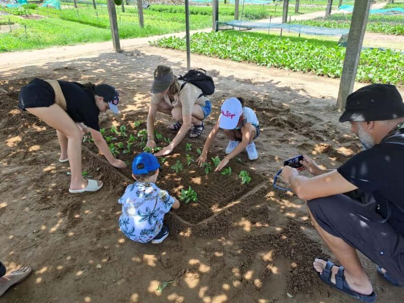 Private Hoi An Countryside biking, basket boat, herb gardens - The Sum Up: Who Is This Tour Best For?