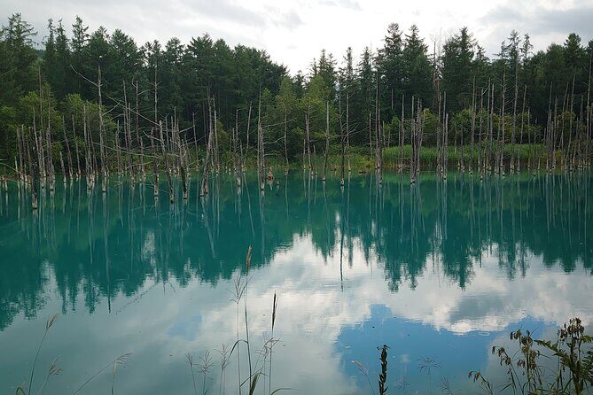 Private Hokkaido Guided 5 Day Tour with Transportation - Is It Worth the Price?