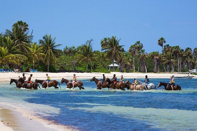 Private Horse Back Riding And Dunns' River Falls From Montego bay - A Unique Blend of Adventure and Nature: Private Horseback Riding & Dunns River Falls from Montego Bay