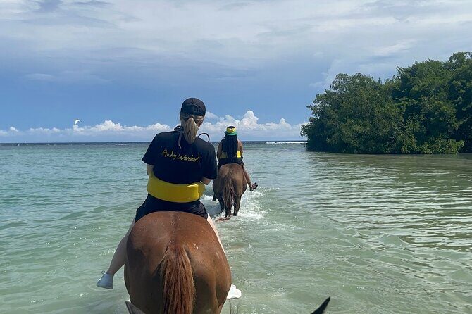 Private Horse Back Riding And Dunns' River Falls From Montego bay - Good To Know