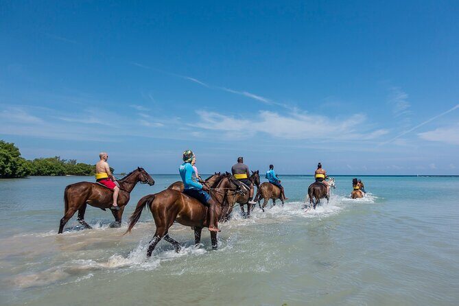 Private Horse Back Riding And Dunns' River Falls From Montego bay - Frequently Asked Questions