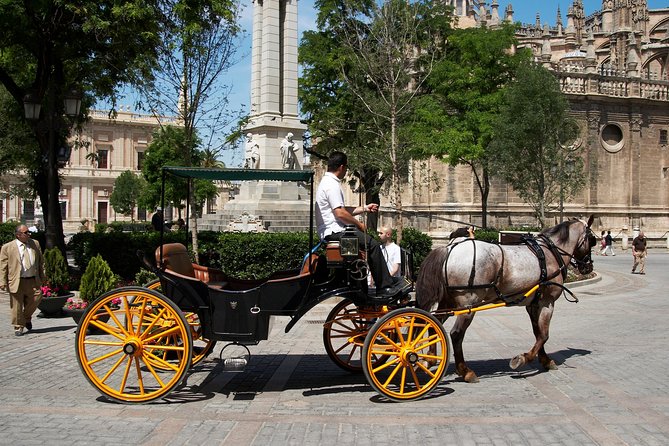 Private Horse Carriage Ride and Walking Tour of Seville - Questions and Pricing