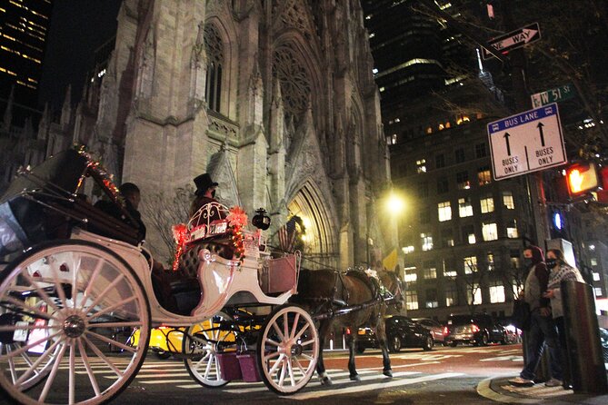 Private Horse-Drawn Carriage Ride of New York City - Overview and Tour Details