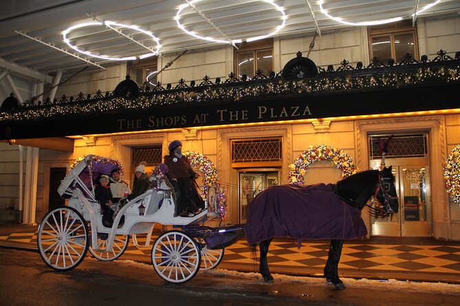Private Horse-Drawn Carriage Ride of New York City - Cancellation Policy