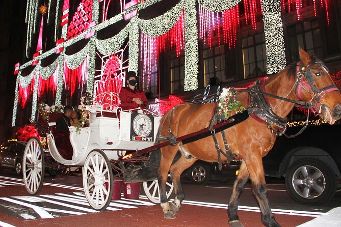 Private Horse-Drawn Carriage Ride of New York City - Directions to Meeting Point