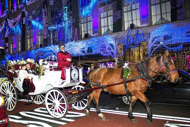 Private Horse-Drawn Carriage Ride of New York City - Tips for a Memorable Carriage Ride
