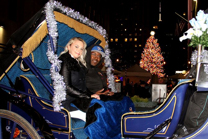 Private Horse-Drawn Carriage Ride of New York City - The Sum Up