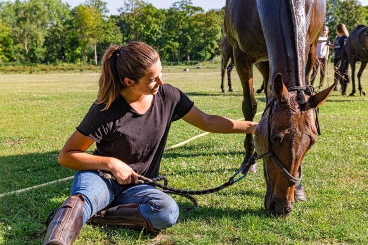 Private Horse Ride Experience - Key Points