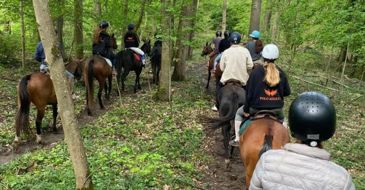 Private Horse Ride Experience - Itinerary Details