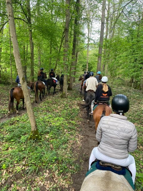 Private Horse Ride Experience - Highlights of the Ride