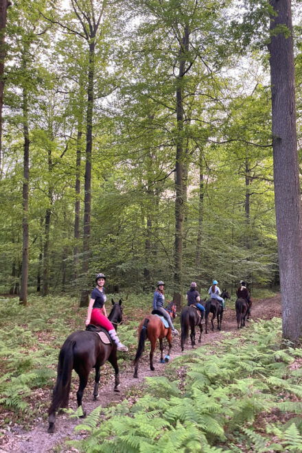 Private Horse Ride Experience - Language and Guide