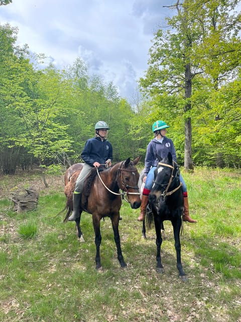 Private Horse Ride Experience - Questions You May Have