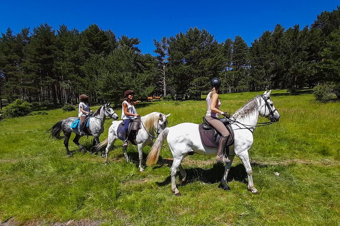 Private Horse Ride in Madrid Natural Park Reserve - Additional Information
