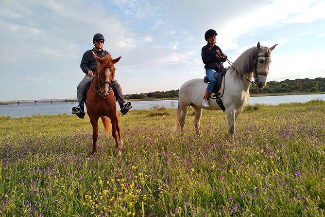 Private Horse Ride in Madrid Natural Park Reserve - Traveler Photos and Reviews