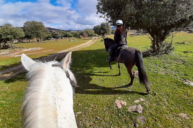 Private Horse Ride in Madrid Natural Park Reserve - Directions
