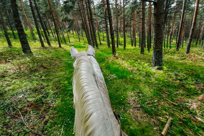 Private Horse Ride in Madrid Natural Park Reserve - Common Questions