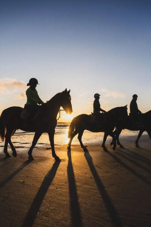 Private Horse Riding, Lake Kournas & Georgioupoli - Detailed Itinerary