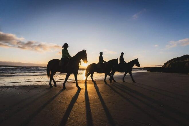 Private Horse Riding, Lake Kournas & Georgioupoli - Booking Details