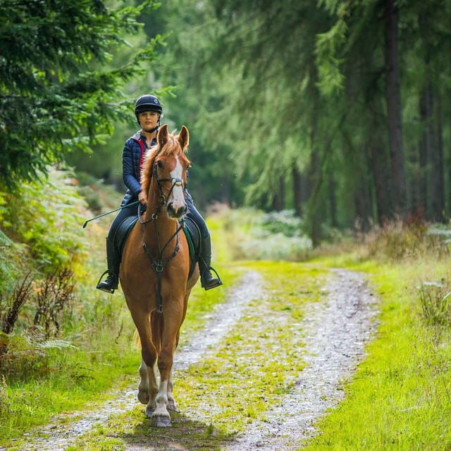 Private Horse Riding, Lake Kournas & Georgioupoli - Local Attractions