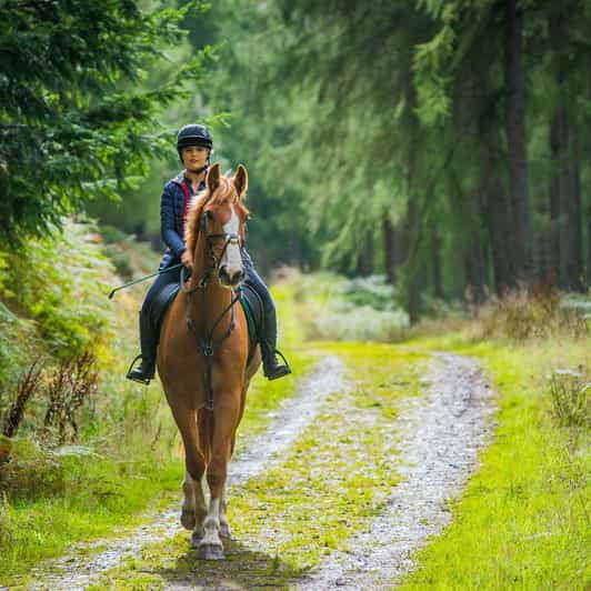 Private Horse Riding, Lake Kournas & Georgioupoli - Tips for Your Trip