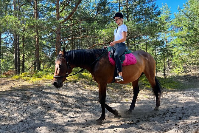 Private Horse Riding on the Beach in Riga - Customer Reviews