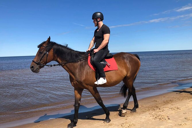 Private Horse Riding on the Beach in Riga - The Sum Up