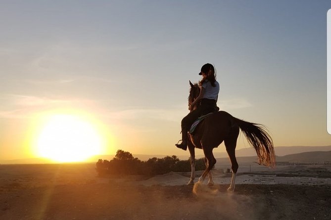 Private Horse Riding Tour in Luxor West Bank - Additional Information