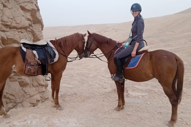 Private Horse Riding Tour in Luxor West Bank - Lowest Price Guarantee