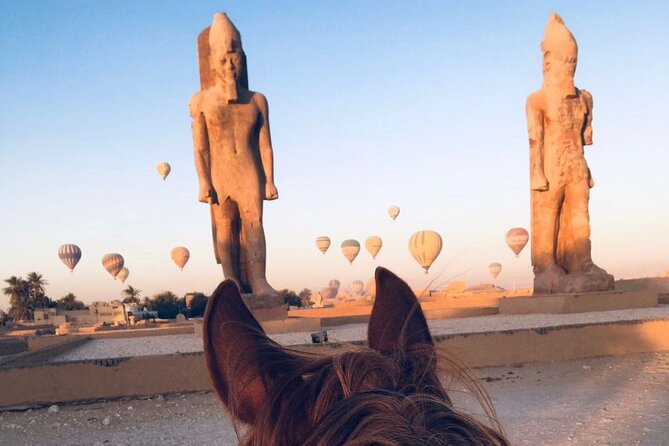 Private Horse Riding Tour in Luxor West Bank - Customize the Ride