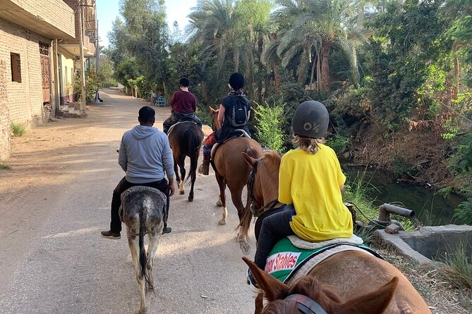 Private Horse Riding Tour in Luxor West Bank - Meeting Point and Pickup Options