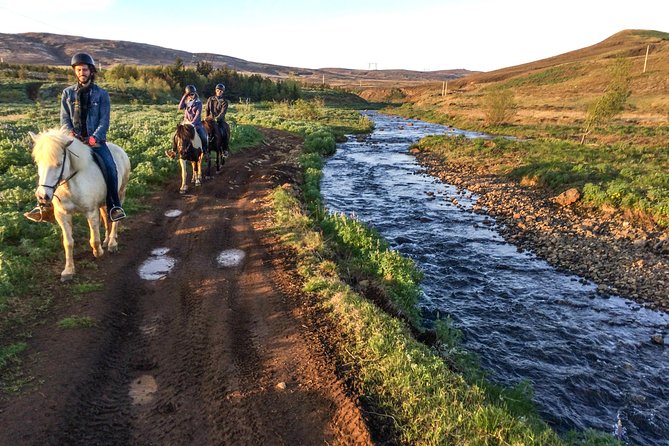 Private Horse Riding Tour in Mosfellsdalur - Pricing and Reservation