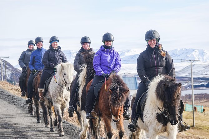 Private Horse Riding Tour in Mosfellsdalur - Tour Overview