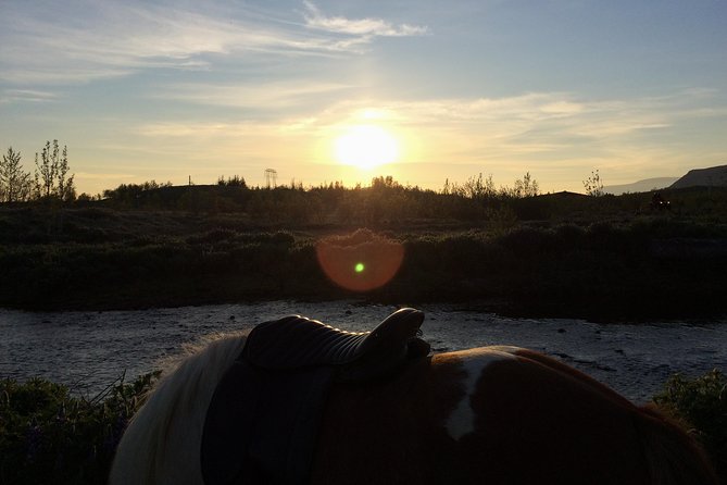 Private Horse Riding Tour in Mosfellsdalur - Inclusions