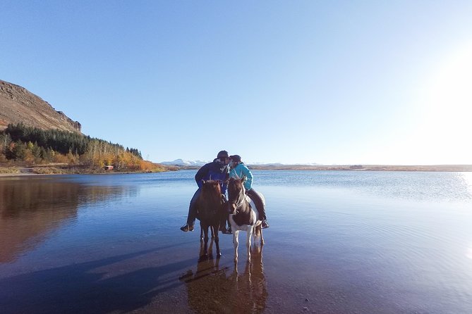 Private Horse Riding Tour in Mosfellsdalur - Meeting and Pickup