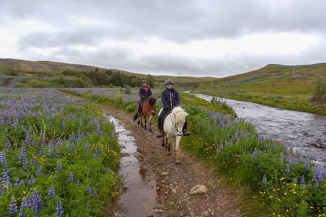 Private Horse Riding Tour in Mosfellsdalur - Traveler Reviews