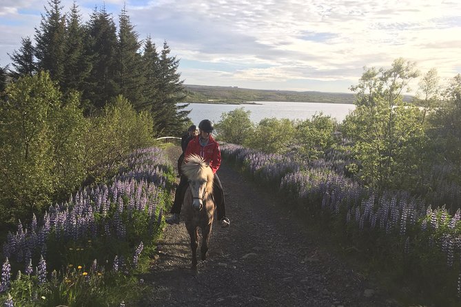 Private Horse Riding Tour in Mosfellsdalur - Directions