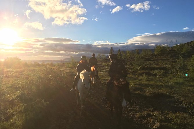 Private Horse Riding Tour in Mosfellsdalur - Common Questions
