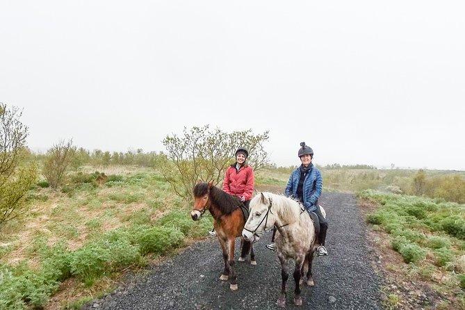 Private Horse Riding Tour in Mosfellsdalur - The Sum Up