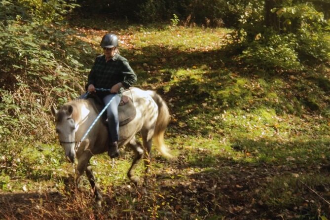 Private Horse Trek to Natural Hot Springs in Azerbaijan - Cancellation Policy