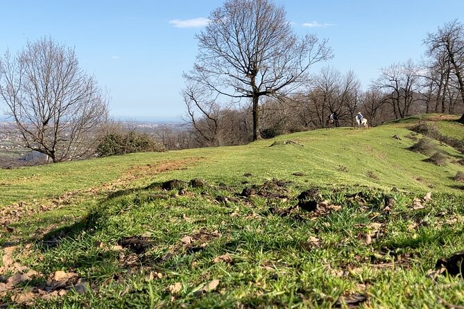 Private Horse Trek to Natural Hot Springs in Azerbaijan - Price