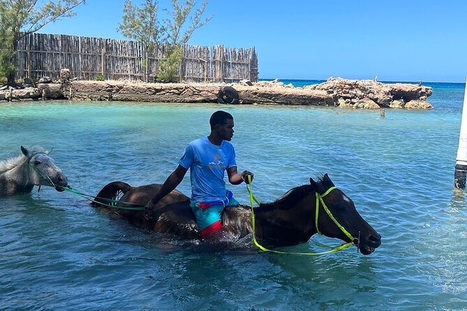Private Horseback Ride and Swim in Montego Bay - Pricing and Booking Details